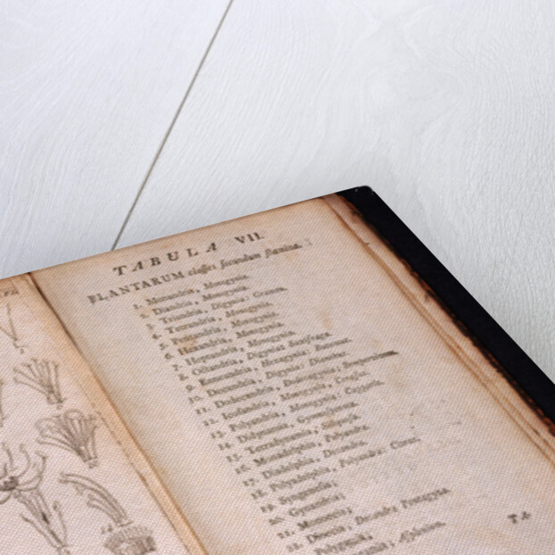 Systema Naturae. 1756 by Anonymous