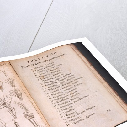 Systema Naturae. 1756 by Anonymous