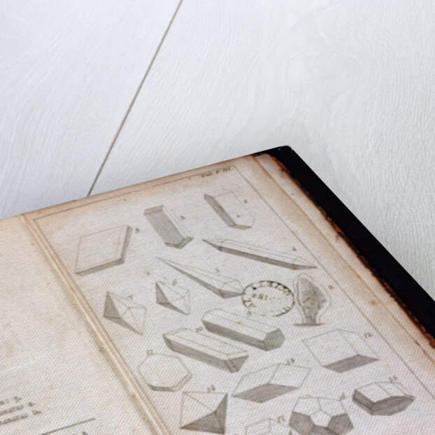 Systema Naturae. 1756 by Anonymous
