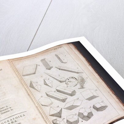 Systema Naturae. 1756 by Anonymous