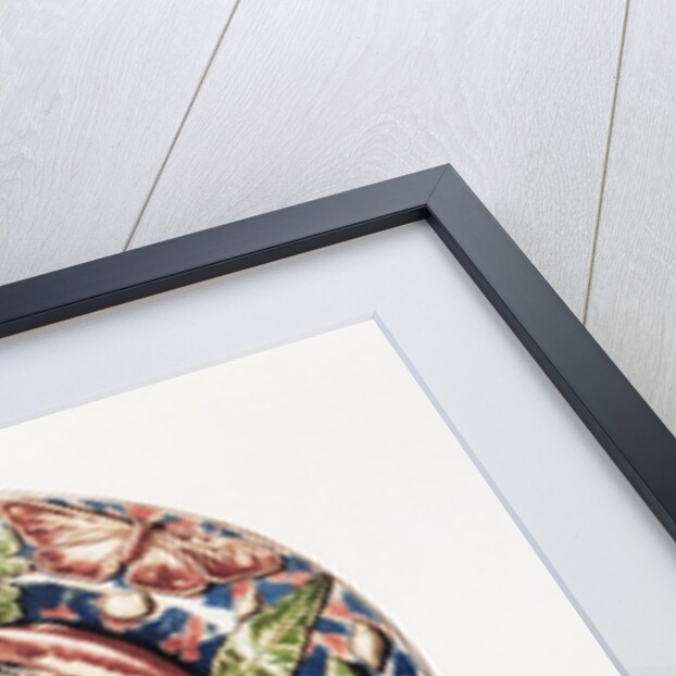 Monographie de l'oeuvre de Bernard Palissy by Anonymous