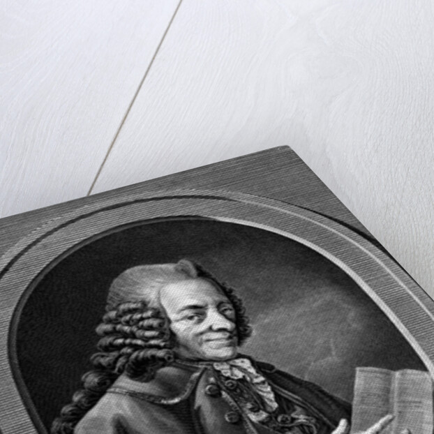 F.M. Arouet, de Voltaire by Benoit-Louis Henriquez