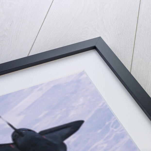 Boomer's View of an SR-71A Aircraft by Anonymous