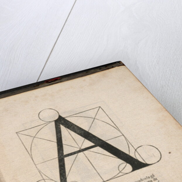 Divina proportione by Anonymous