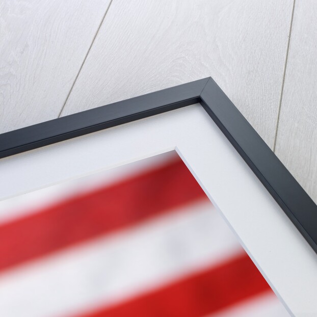Bald Eagle Squawking with American Flag by Anonymous