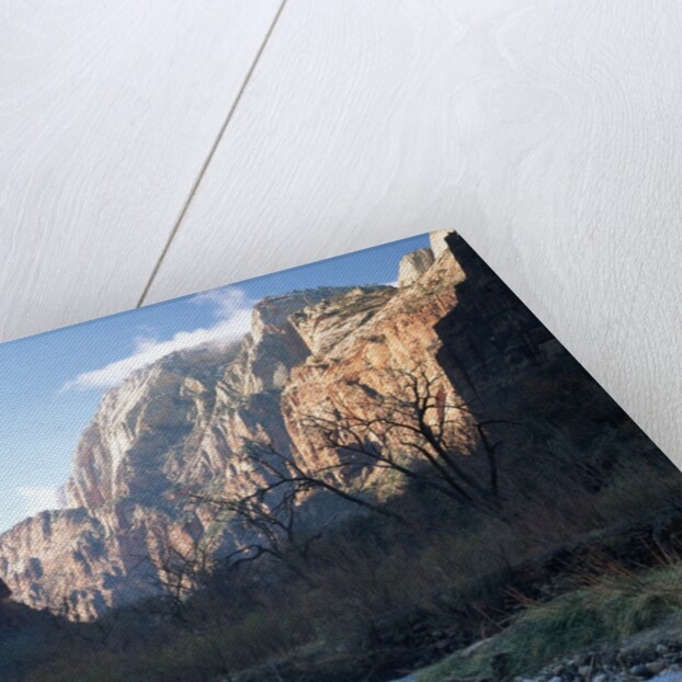 Virgin River in Zion Canyon by Anonymous