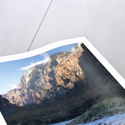 Virgin River in Zion Canyon by Anonymous