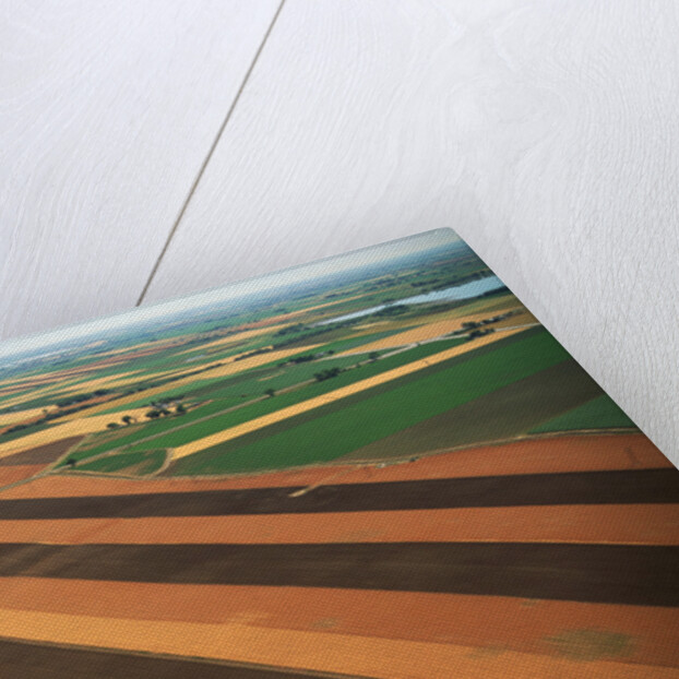 Wheat Fields by Anonymous