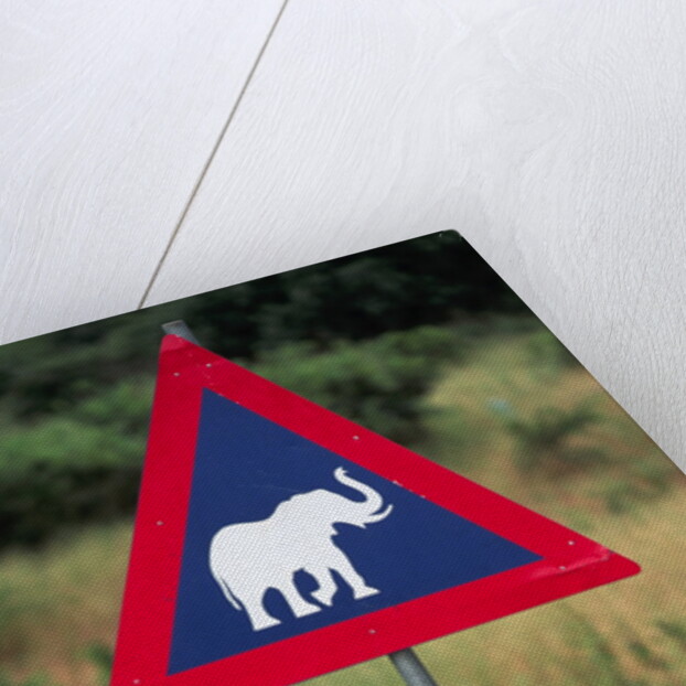Elephant Crossing Sign by Anonymous
