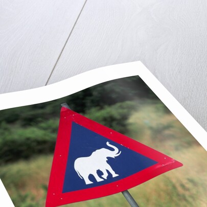 Elephant Crossing Sign by Anonymous