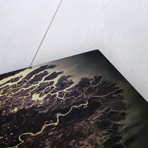 Indus River Delta by Anonymous