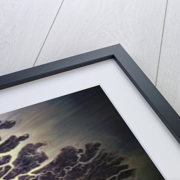 Indus River Delta by Anonymous