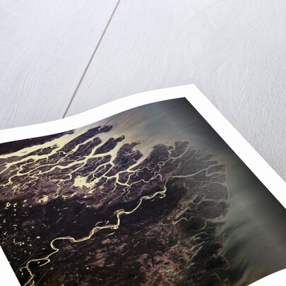 Indus River Delta by Anonymous