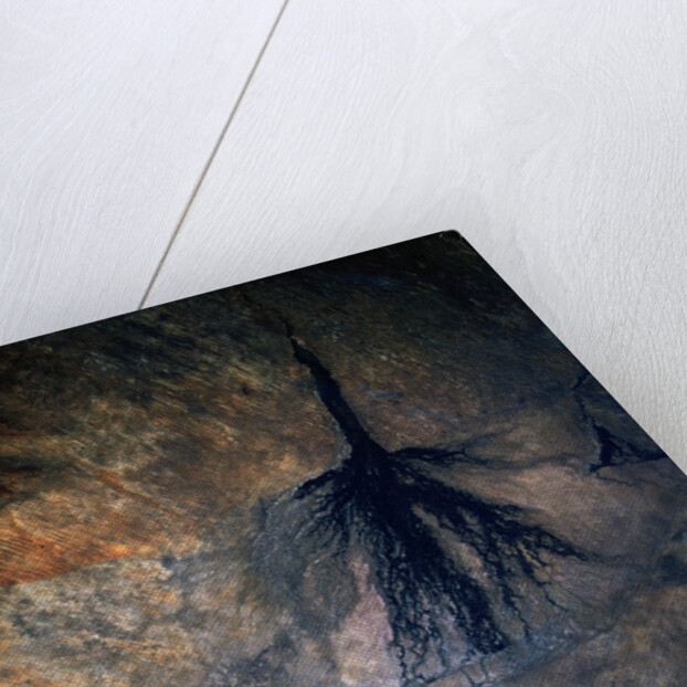 Okavango Delta and Swamp by Anonymous