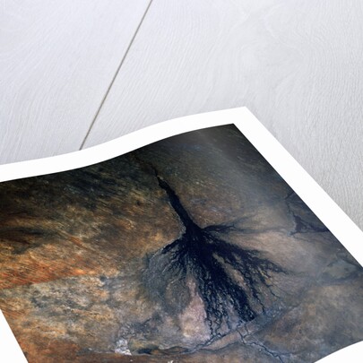Okavango Delta and Swamp by Anonymous