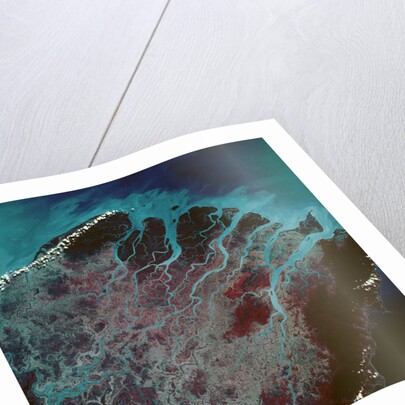 Low-Earth-Orbit View of the Irrawaddy River by Anonymous