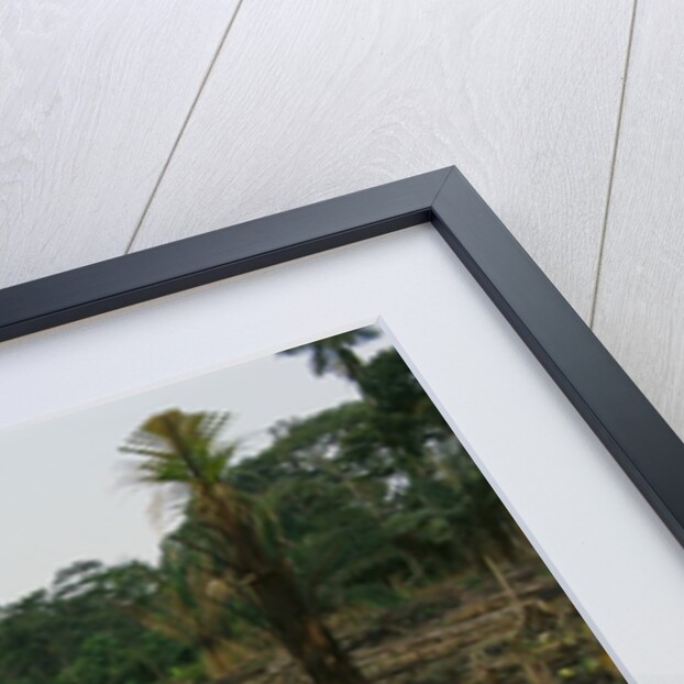 Slash and Burn Agriculture in Peru by Anonymous