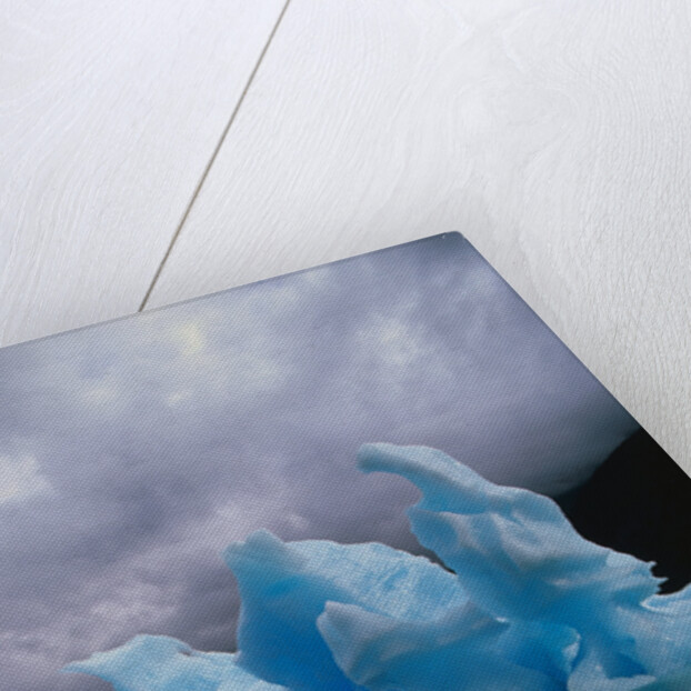 Iceberg Along Alaskan Wilderness by Anonymous