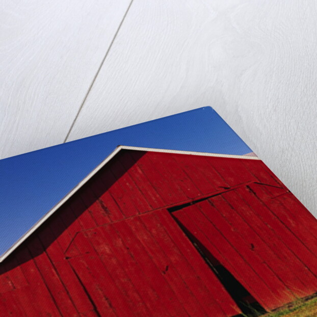 Red Barns by Anonymous