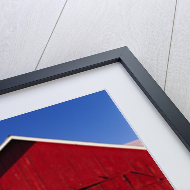 Red Barns by Anonymous