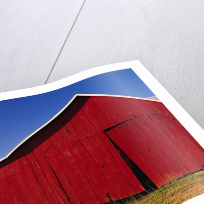 Red Barns by Anonymous