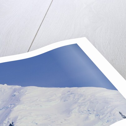 Ski Plane near Mount McKinley Base Camp by Anonymous