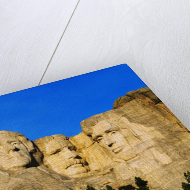 Morning Light on Mount Rushmore Memorial by Anonymous