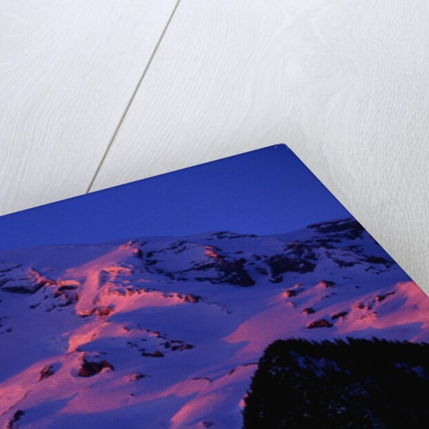 Sunset Alpenglow on Mount Rainier by Anonymous