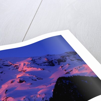 Sunset Alpenglow on Mount Rainier by Anonymous