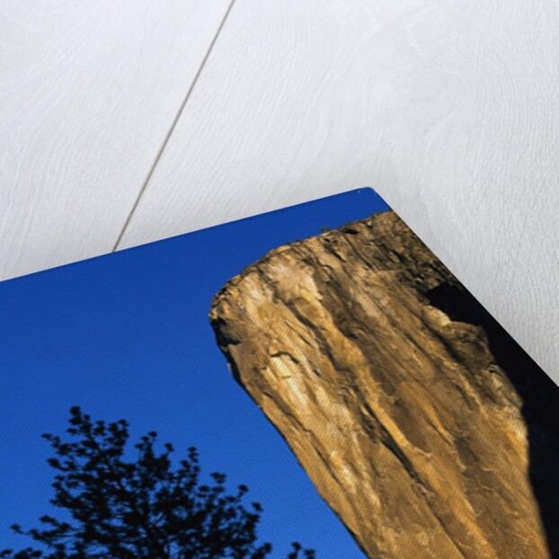 Sunlight Shining on El Capitan by Anonymous