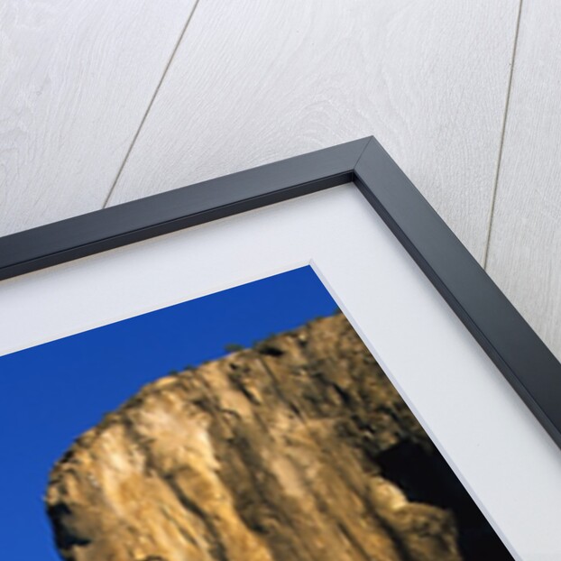 Sunlight Shining on El Capitan by Anonymous