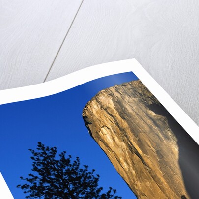 Sunlight Shining on El Capitan by Anonymous