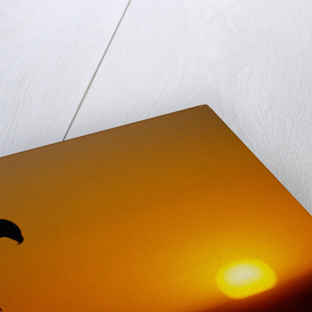 Golden Eagle at Sunset by Anonymous