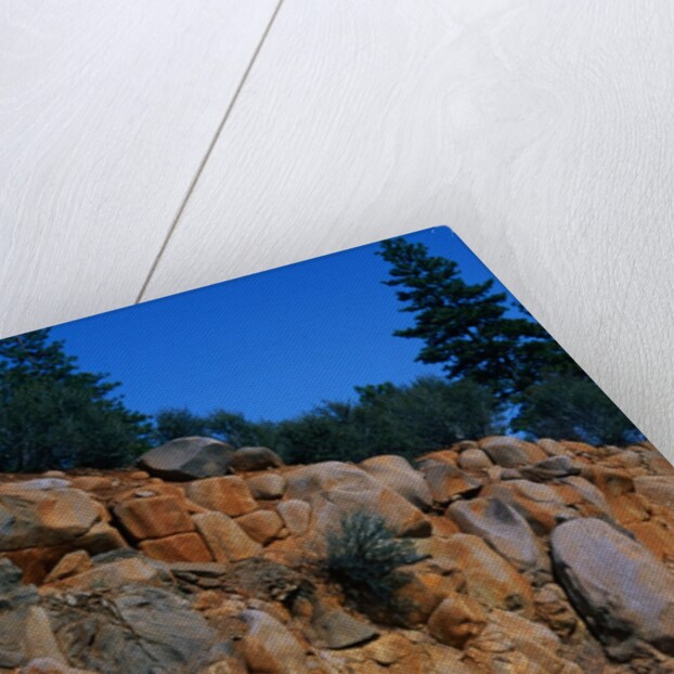 Roadcut Exposing Geologic Strata by Anonymous