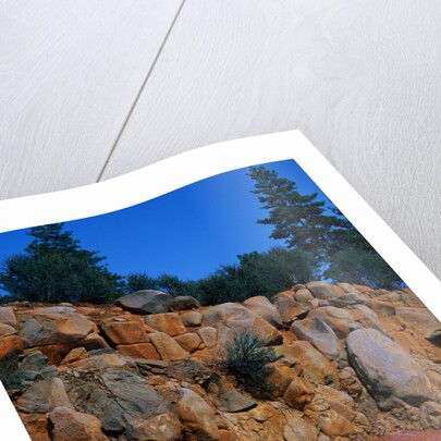 Roadcut Exposing Geologic Strata by Anonymous