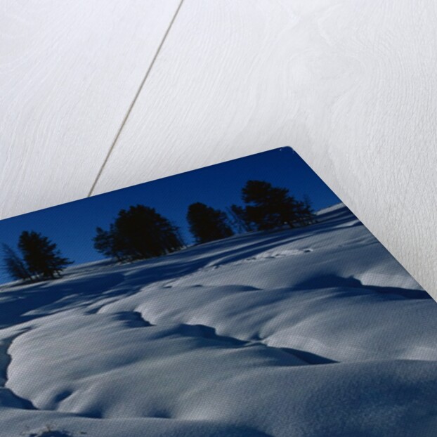 Hillside Covered in Snow by Anonymous