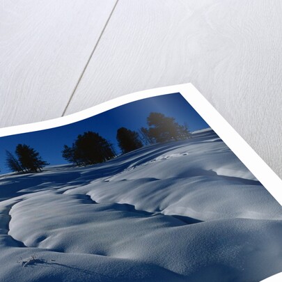 Hillside Covered in Snow by Anonymous