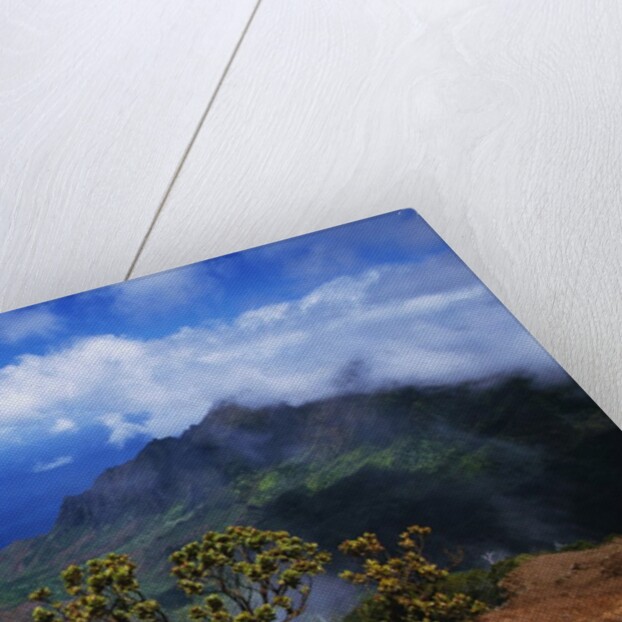 Hills Along the Napali Coast by Anonymous