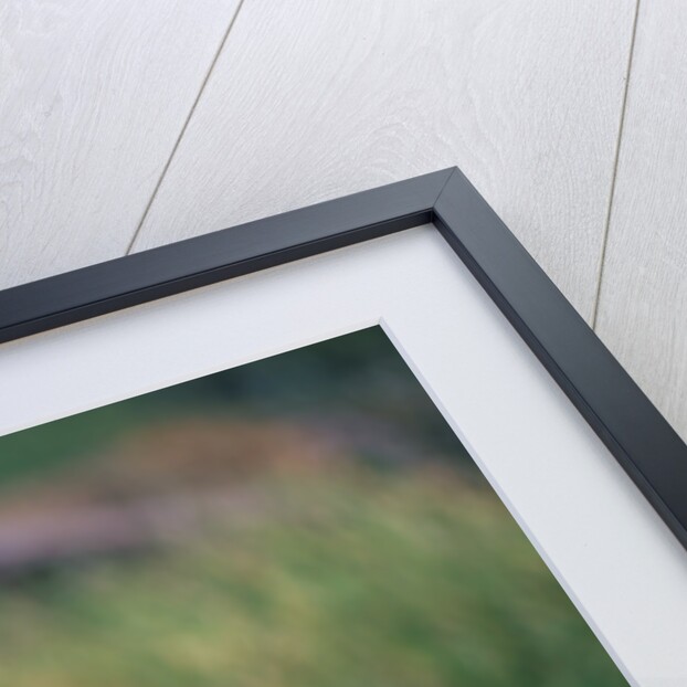 A Hippopotamus Yawning by Anonymous