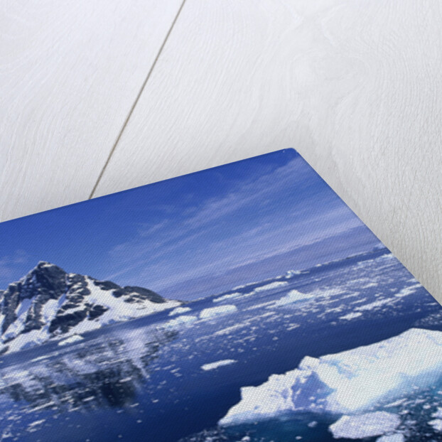 Icebergs in Lemaire Channel by Anonymous