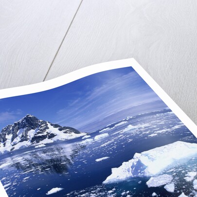 Icebergs in Lemaire Channel by Anonymous