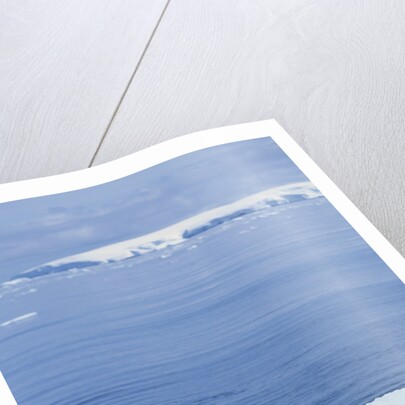 Weddell Seal Resting on Iceberg by Anonymous