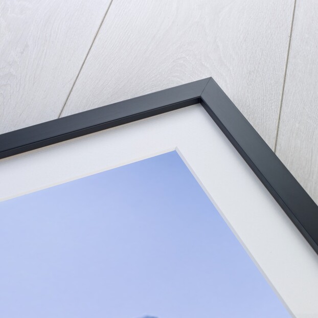 Iceberg in Antarctica by Anonymous