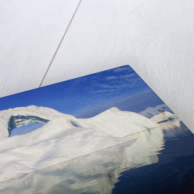 Dorian Bay Iceberg by Anonymous