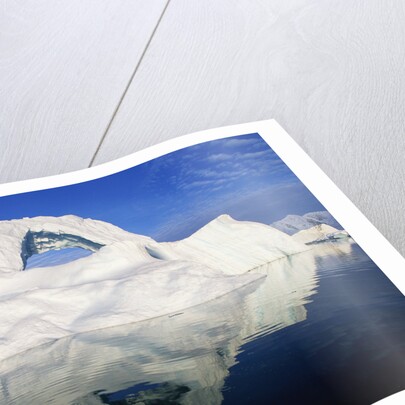 Dorian Bay Iceberg by Anonymous