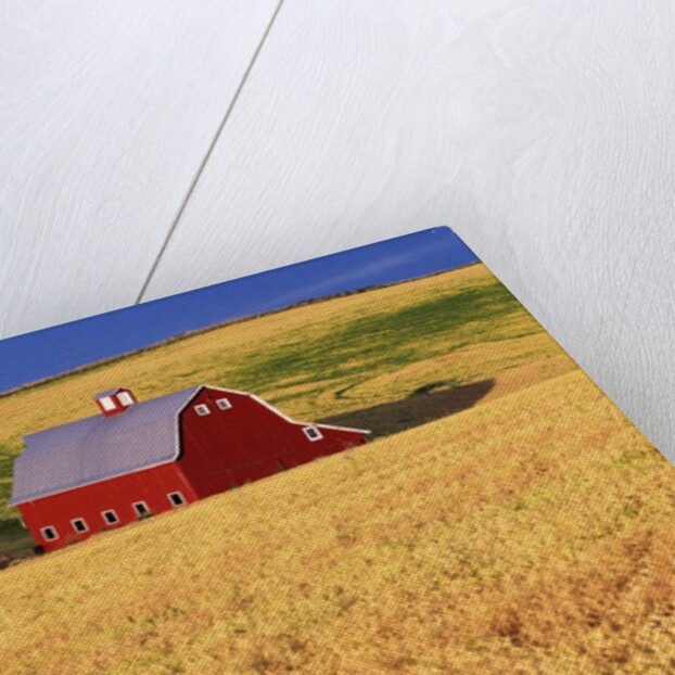 Red Barn on Rolling Hills by Anonymous