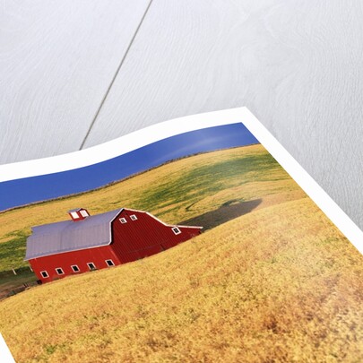 Red Barn on Rolling Hills by Anonymous