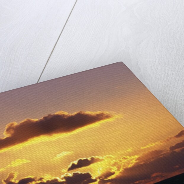 Sunset over the Pacific Ocean by Anonymous