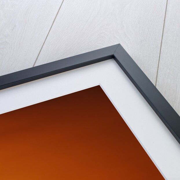 Topi Antelope Silhouettes at Sunrise by Anonymous