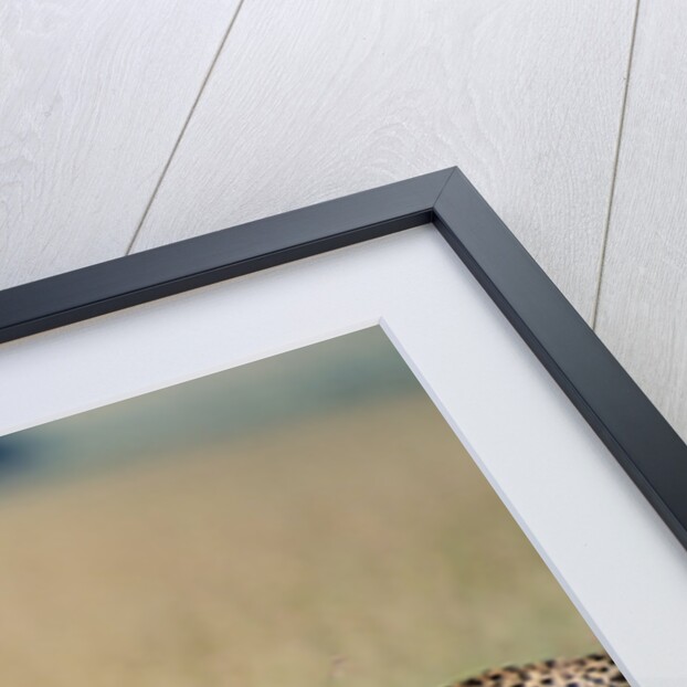 Cheetah Chasing Thomson's Gazelle by Anonymous